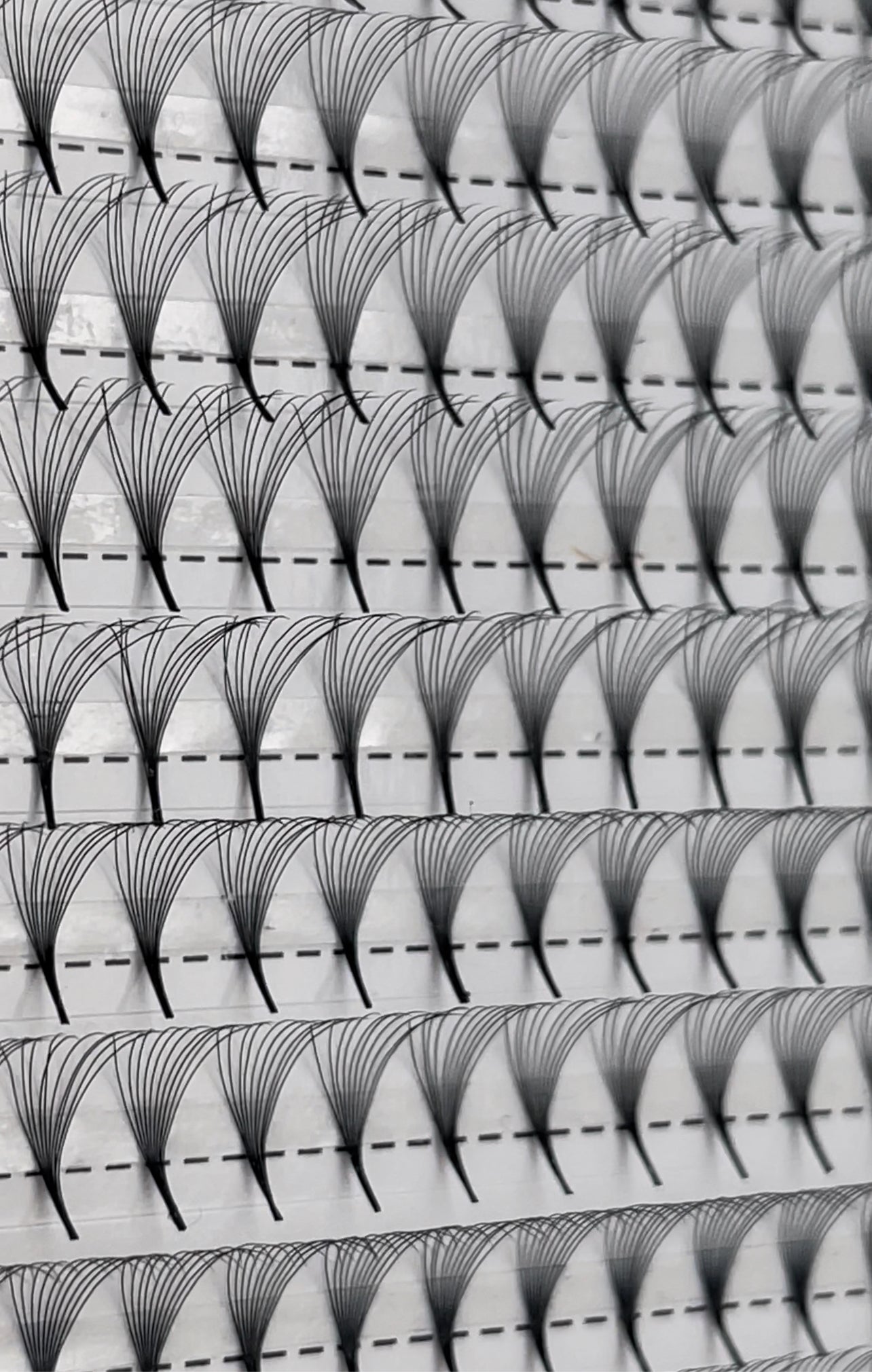 10D ADHESIVE BONDED Sharp Stem Premade Volume Fan Tray